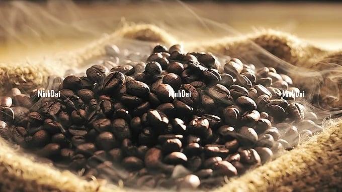 Coffee price on 04/01/2024: Approaching VND 99,000/kg Coffee price on 04/01/2024: Approaching VND 99,000/kg