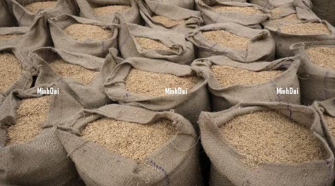 Rice export prices fell to 3-month low on shrinking demand, ample supplies