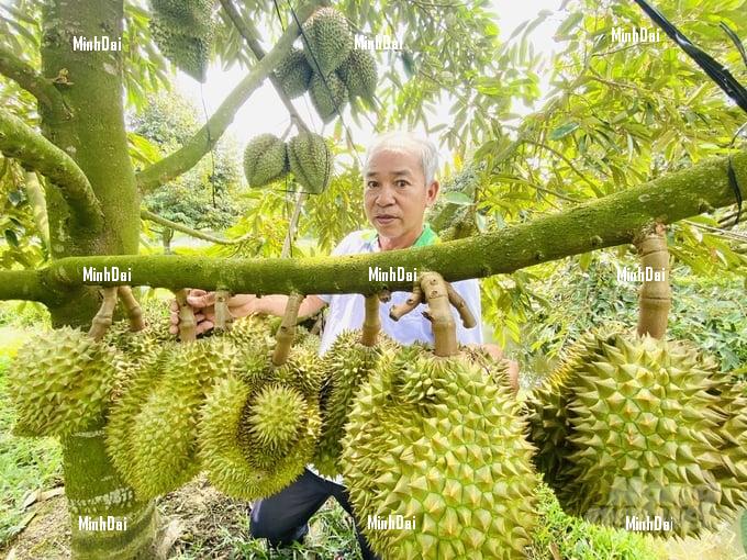Mekong Delta's agricultural products saw price increases