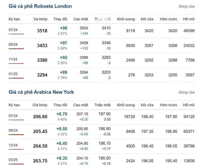 Coffee prices on 05/19/2024: Up by VND 3,500/kg this week Coffee prices on 05/19/2024: Up by VND 3,500/kg this week