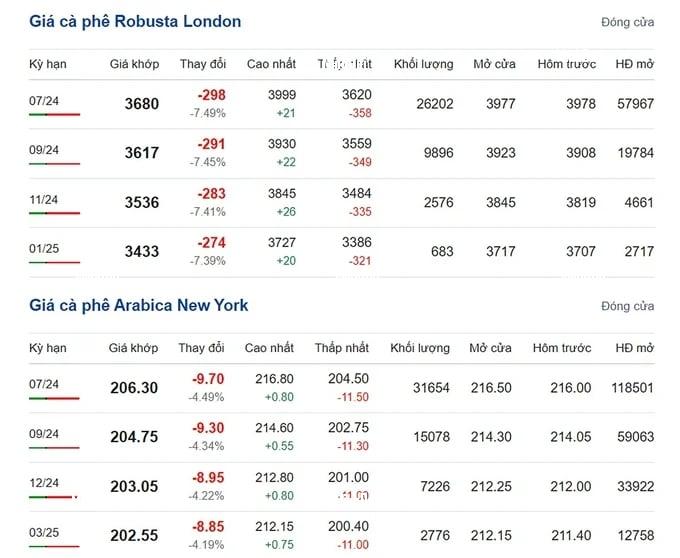 Coffee prices on 05/03/2024: Sharp drop to VND 130,000/kg