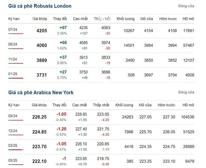 Coffee prices on 06/20/2024: Robusta surges again