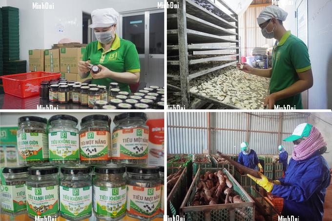 Cooperative's organic pepper sells at VND 15 million/kg