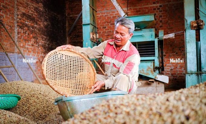 Coffee prices increase again, businesses lack raw materials