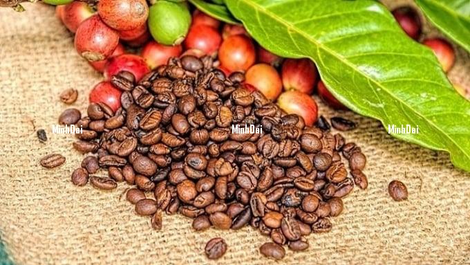 Coffee prices on 07/29/2024: Highest at VND 124,000/kg