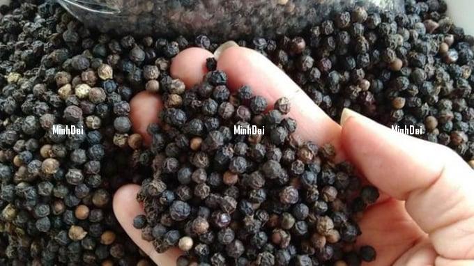 Pepper prices on 07/12/2024: Increase in Dak Lak and Dak Nong Pepper prices on 07/12/2024: Increase in Dak Lak and Dak Nong