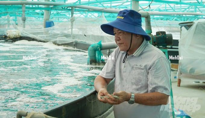 Shrimp price reduces by 30%, many farming households ‘lock’ the ponds
