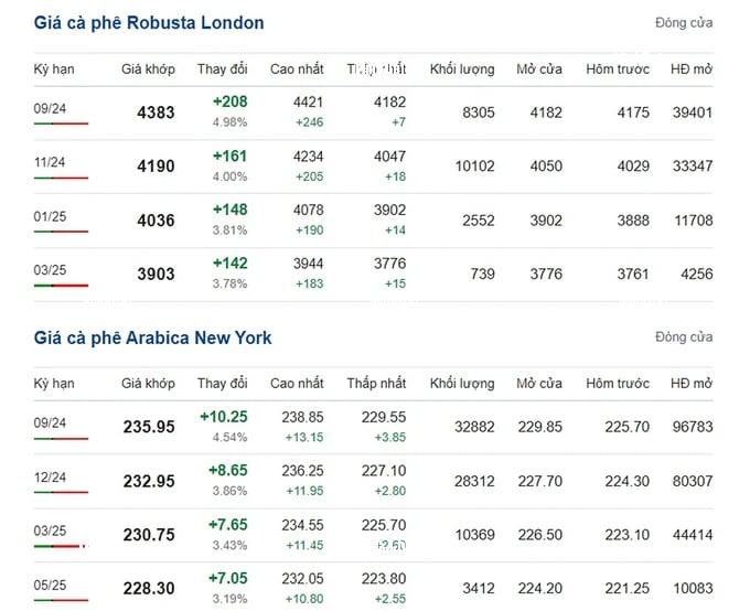 Coffee prices on 08/07/2024: Sharp increase again