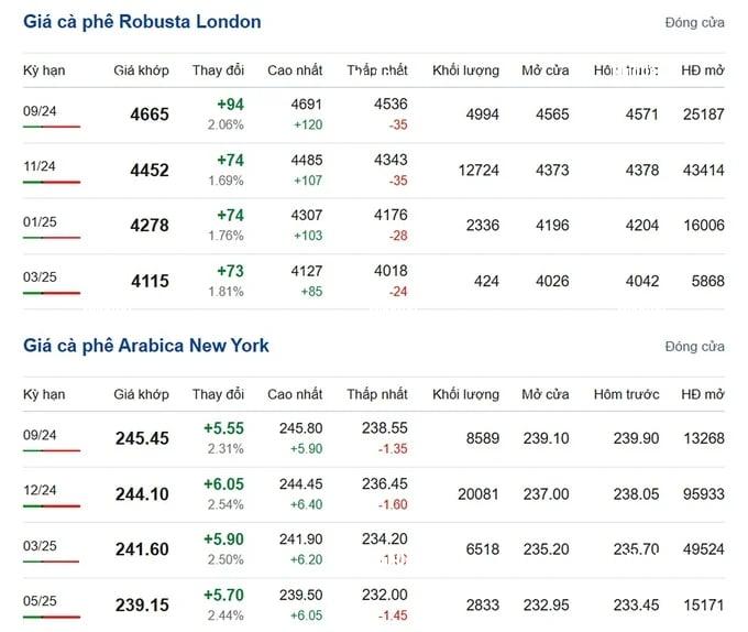 Coffee prices on 08/17/2024: continue to rise sharply