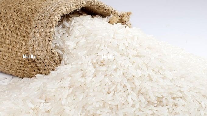 Rice prices on 08/16/2024: Mixed movements