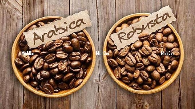 Coffee prices on 09/14/2024: The market rises sharply