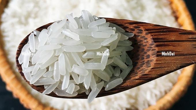 Rice prices on 09/09/2024: remain stable