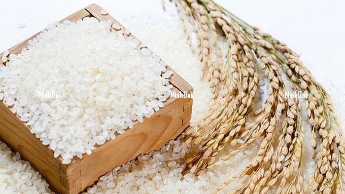Rice prices on 09/30/2024: Remain unchanged