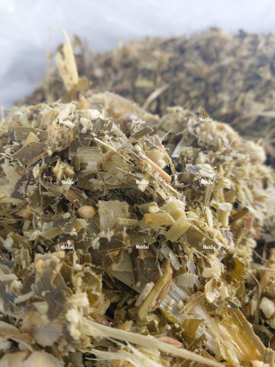 CUNG CẤP NGÔ Ủ CHUA XUẤT KHẨU VÀ NỘI ĐỊA