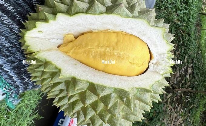 Durian prices have doubled compared to 2 months ago