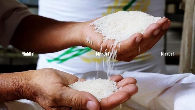 Rice prices on November 15, 2024: Slight fluctuations