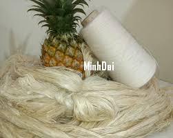 Doanh nghiệp Vạn Ký (Đài Loan) tìm đối tác cung ứng sợi từ dứa Doanh nghiệp Vạn Ký (Đài Loan) tìm đối tác cung ứng sợi từ dứa