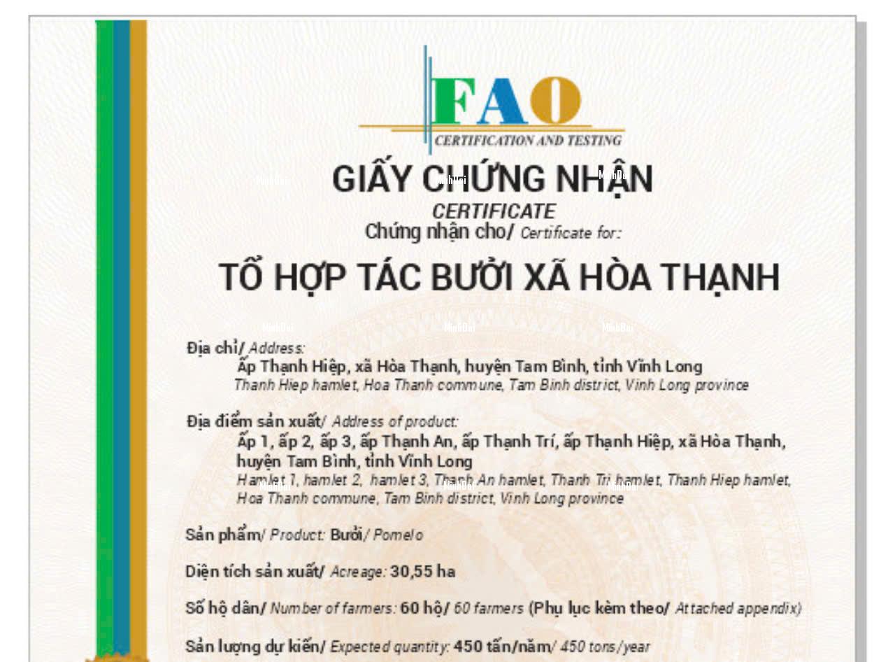 Tổ Hợp tác Bưởi Hòa Thạnh