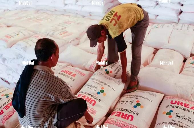 Pupuk Indonesia has so far delivered 3.36 million tons of urea fertilizer, 3.21 million tons of NPK, and 38,419 tons of Petroganik organic fertilizer. 