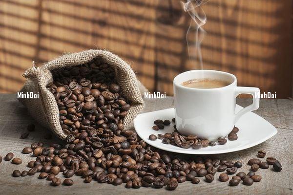 gia-ca-phe-hom-nay-31-12-1-111232_435-131023-155651_706.jpg Coffee prices on December 31: Slight increase of VND 200/kg