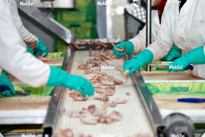 After some decline in recent years, EU poultry exports are expected to regain some momentum in the coming years. Photo: Canva.