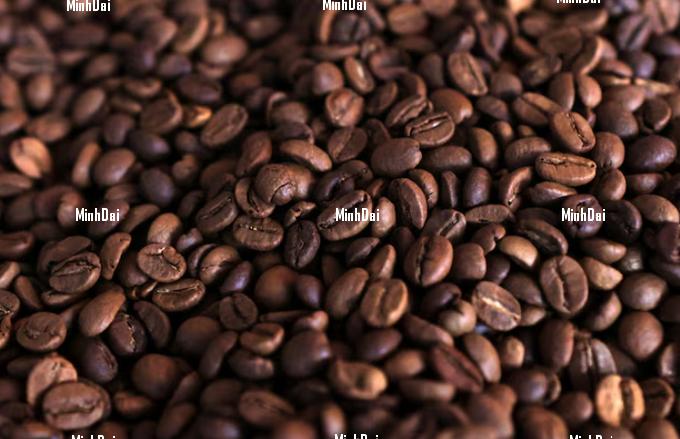 screenshot_1738376687-092509_388.jpeg Coffee beans are seen in this illustration taken December 17, 2024.