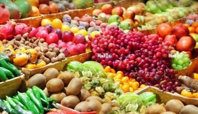 Một doanh nghiệp Bỉ cần tìm đối tác Việt Nam cung ứng áo phông