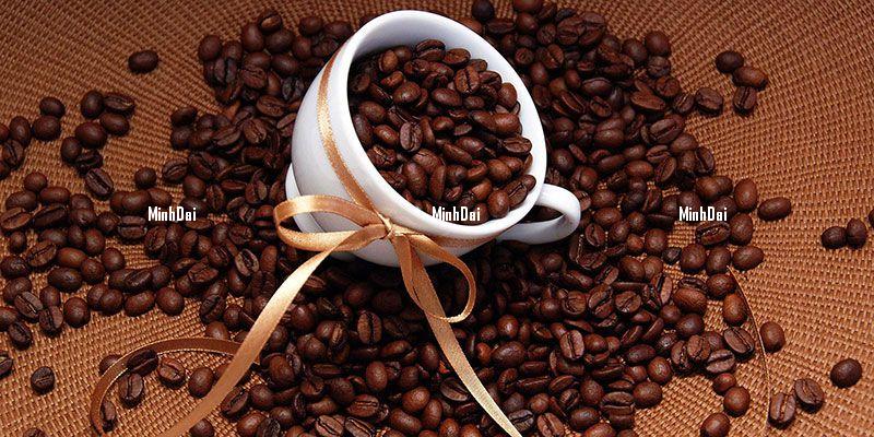 Coffee prices on March 15, 2025: The market drops sharply Coffee prices on March 15, 2025: The market drops sharply