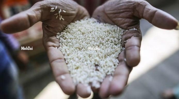 Prices slide as India unwinds ban on rice exports Prices slide as India unwinds ban on rice exports