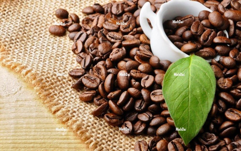 Thương nhân của Bỉ tìm nhà cung ứng nông sản đi châu Phi và Trung Đông