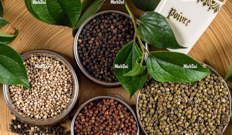 Phương Pháp Xác Định Độ Cay Của Hồ Tiêu: Hành Trình Tìm Hương Vị Đỉnh Cao
