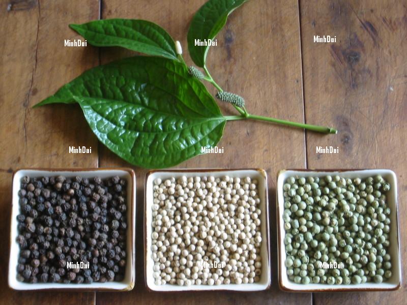 Hạt Tiêu Hữu Cơ – Gia Vị Xanh, Thơm Cay Cho Mọi Nhà Hạt Tiêu Hữu Cơ – Gia Vị Xanh, Thơm Cay Cho Mọi Nhà