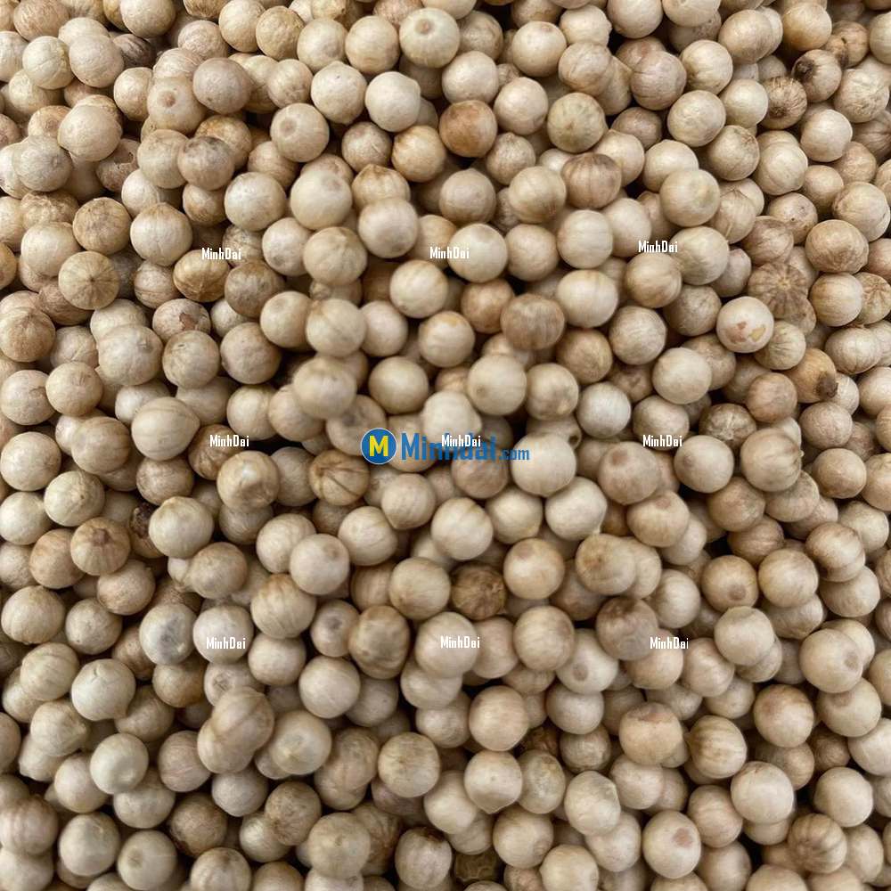 Các Loại Hạt Tiêu Việt Nam: Đặc Sản Gia Vị Đỉnh Cao Các Loại Hạt Tiêu Việt Nam: Đặc Sản Gia Vị Đỉnh Cao