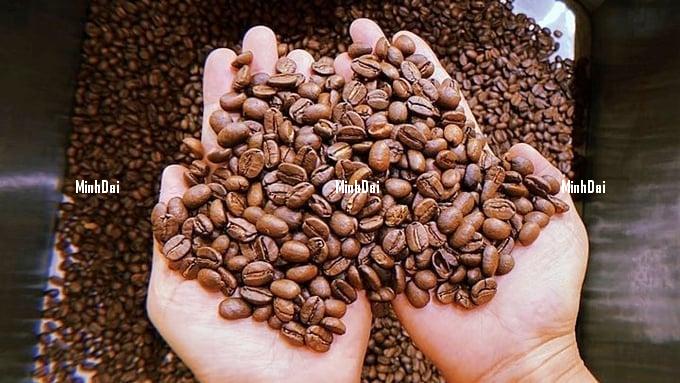 Coffee prices on May 13, 2025: Sharp drop across the board Coffee prices on May 13, 2025: Sharp drop across the board
