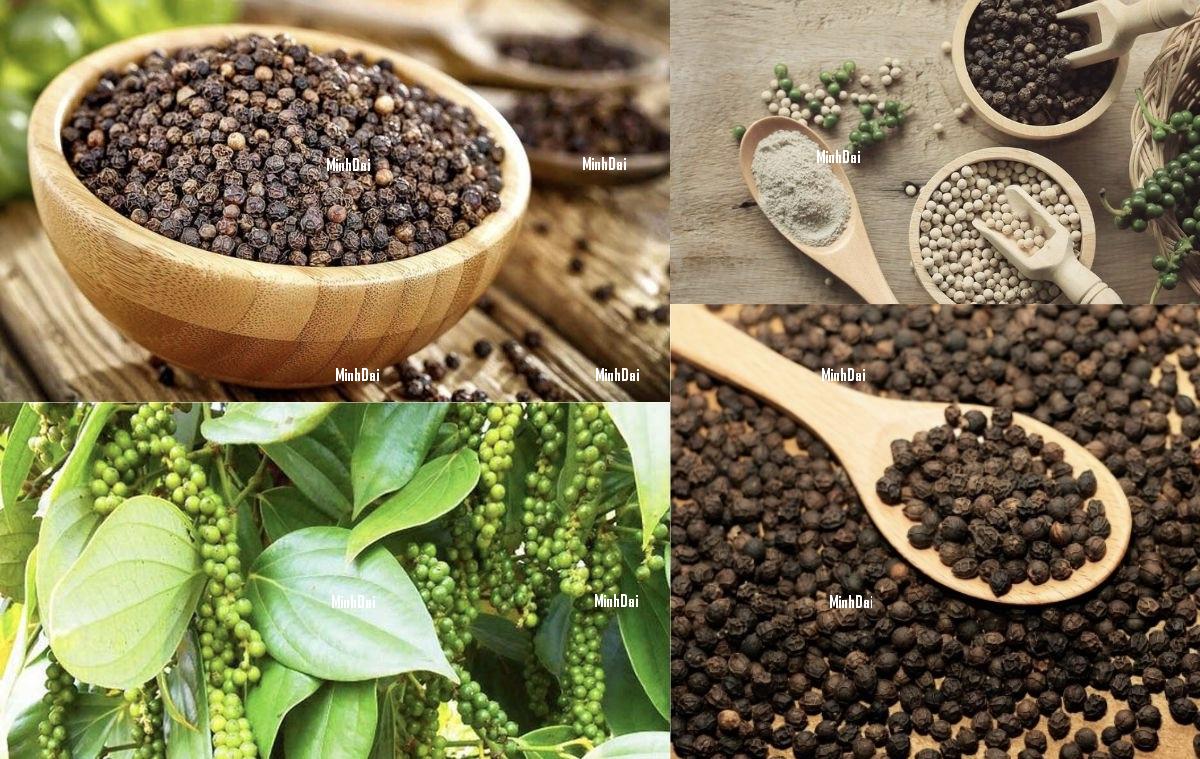 Hạt Tiêu Hữu Cơ – Gia Vị Xanh, Thơm Cay Cho Mọi Nhà hạt tiêu tự nhiên