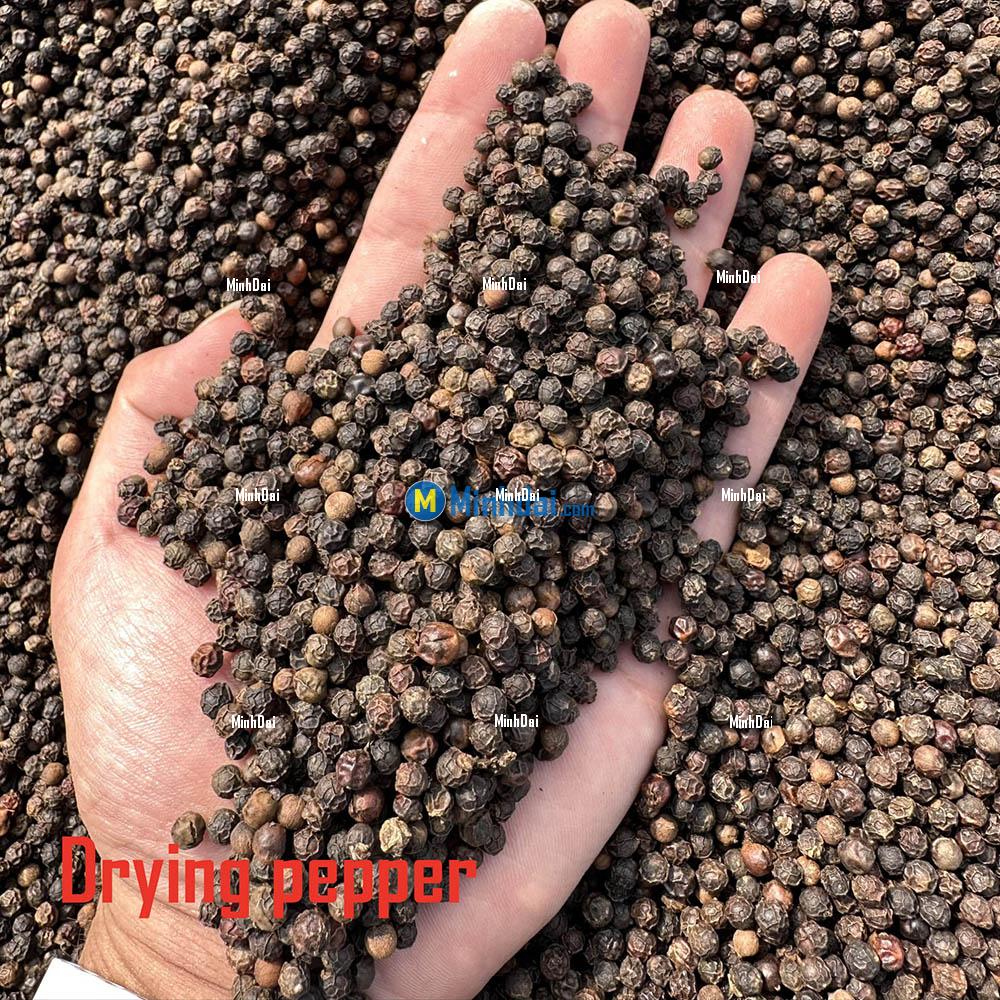 tiêu chuẩn hạt tiêu đen