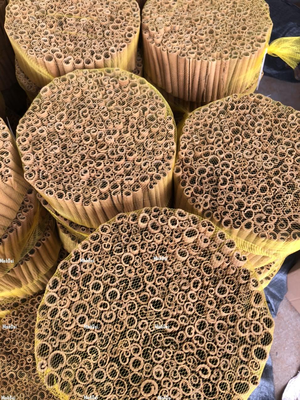 Quế Yên Bái - Hương Thơm Đỉnh Cao Từ Rừng Núi Tây Bắc Quế Yên Bái - Hương Thơm Đỉnh Cao Từ Rừng Núi Tây Bắc