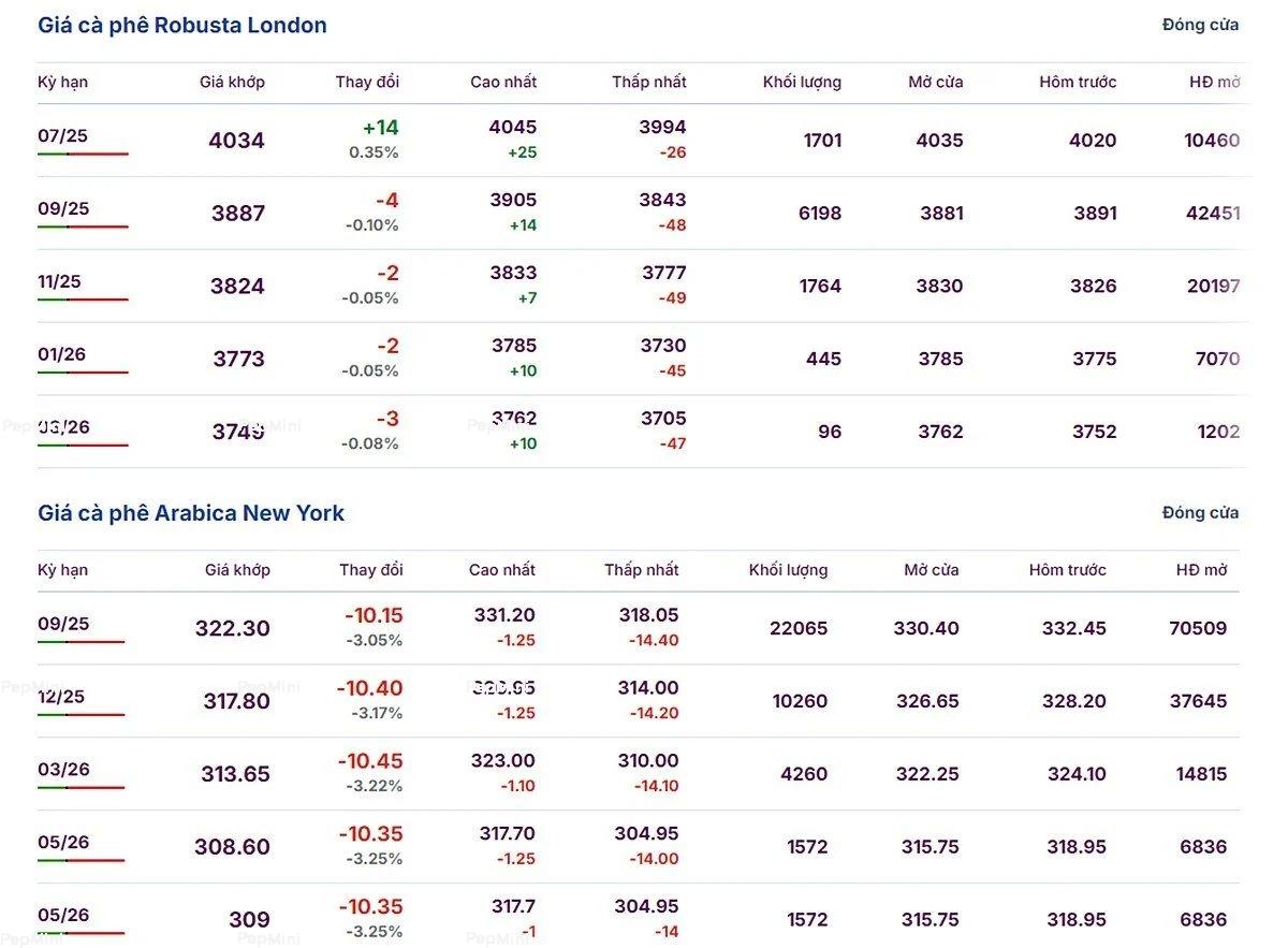 Coffee prices on June 20, 2025: Arabica continues to plunge Arabica and Robusta prices on June 20, 2025