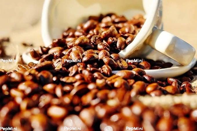 Coffee prices on June 20, 2025: Arabica continues to plunge Domestic and global coffee prices on June 20, 2025