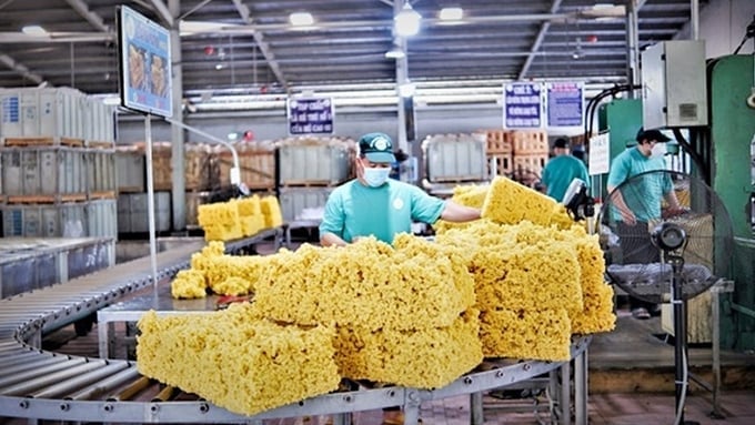 Rubber prices on June 5, 2025: Global market on the rise Latest domestic and global rubber prices on June 5, 2025
