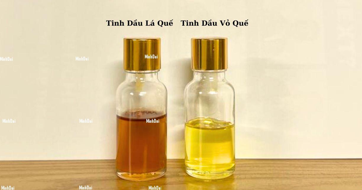 Tinh Dầu Quế - Bí Mật Thơm Ngon Cho Sức Khỏe Tinh Dầu Quế - Bí Mật Thơm Ngon Cho Sức Khỏe